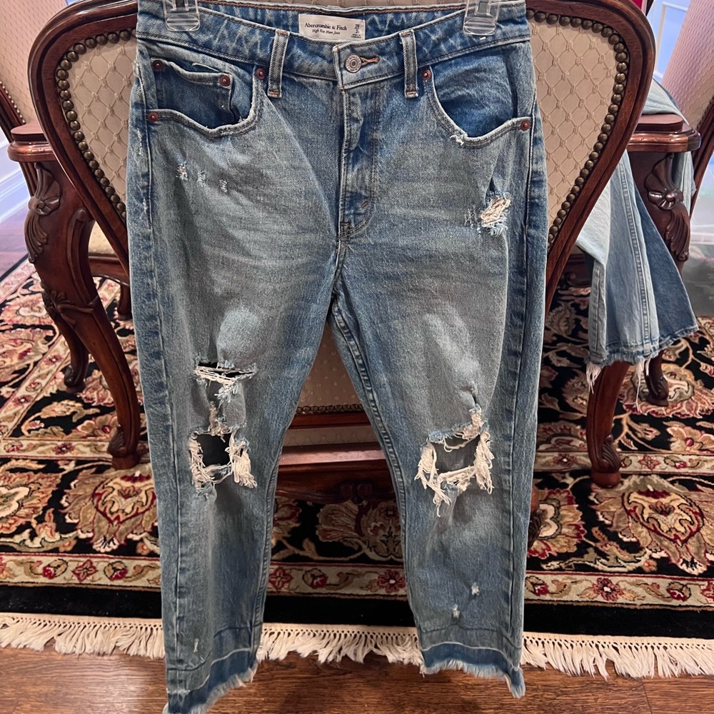 Abercrombie & Fitch High Rise Mom Jean Curve Love 26/2S